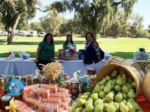 CWA Ag Boosters