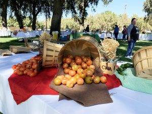 CWA Ag Boosters
